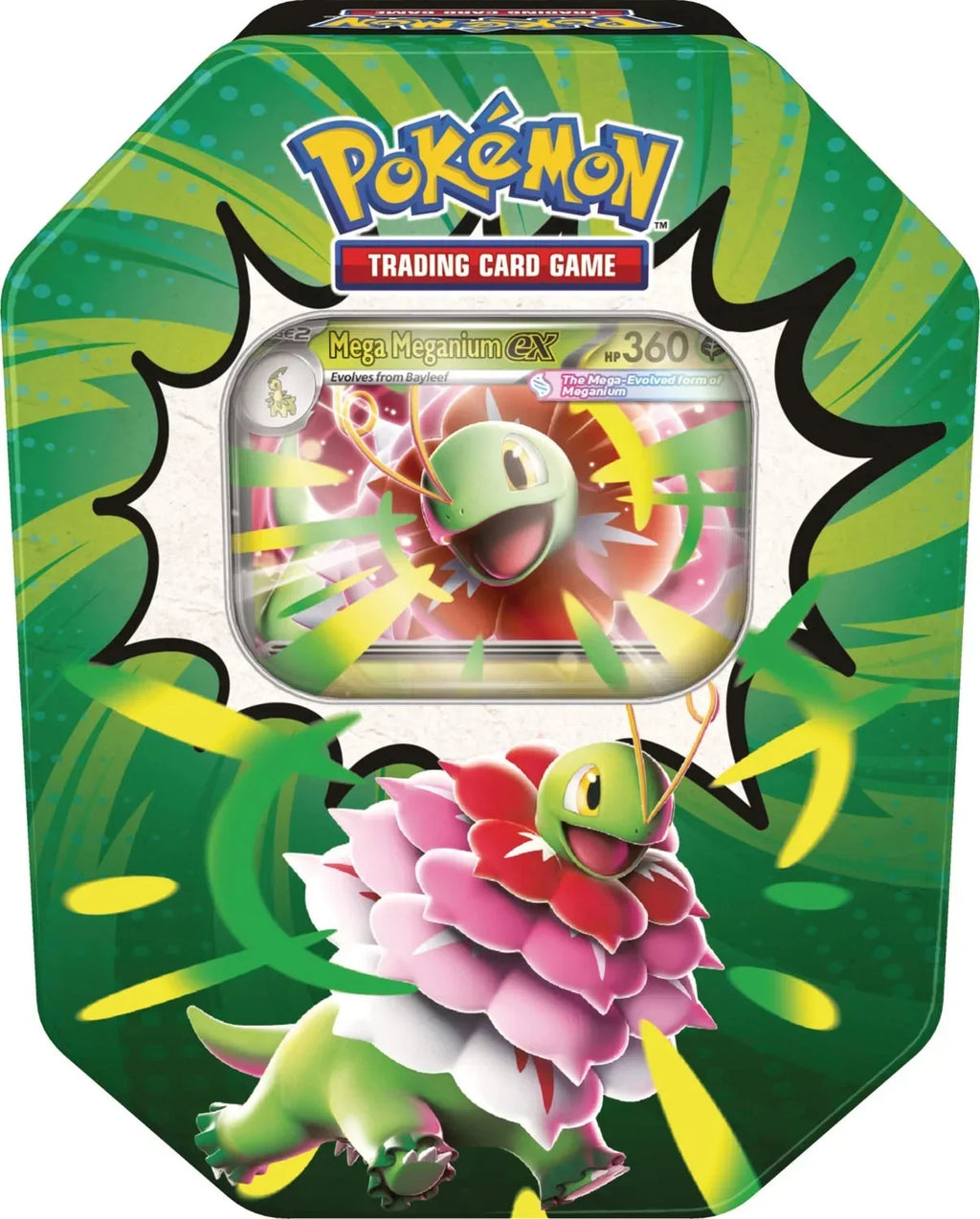 Ascended Heroes Tin - Assorted (Mega Emboar ex, Mega Feraligatr ex or Mega Meganium ex) | Pokemon TCG